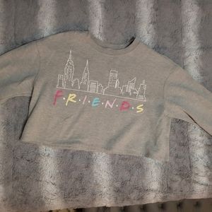 Friends size large gray sweater crop top.